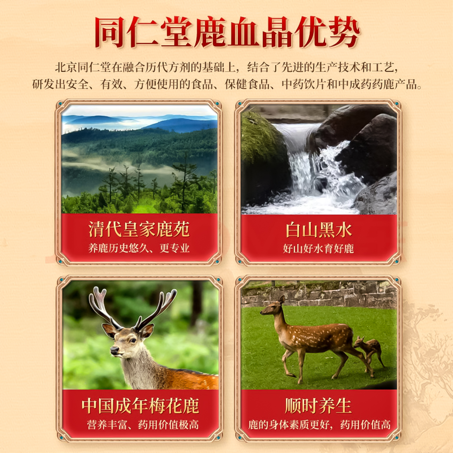 2cff11ad8253a04f737a900e6cbd254.jpg