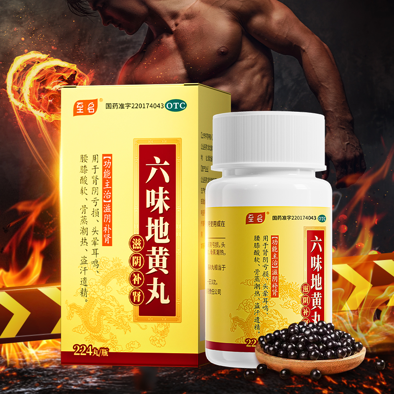 六味地黄丸（浓缩丸）* 至名